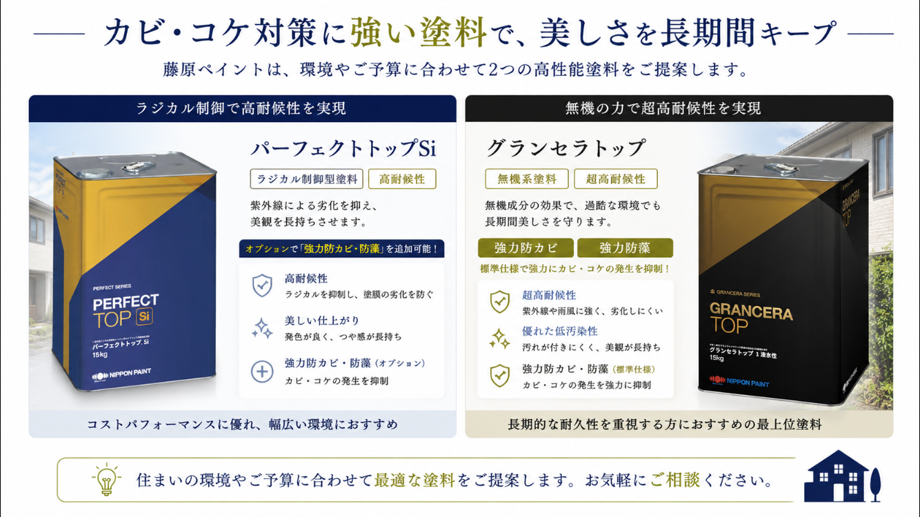 防カビ塗料の効果