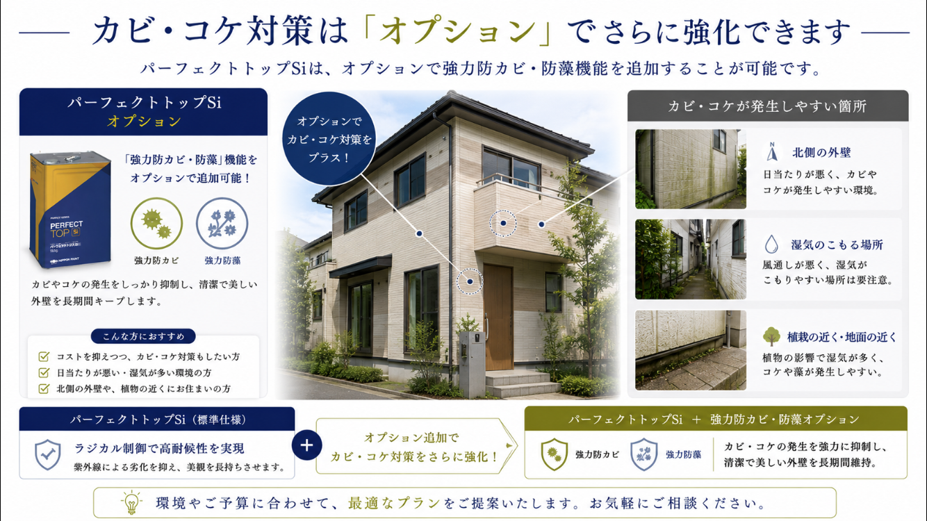 防カビ塗料を選ぶ際のポイント