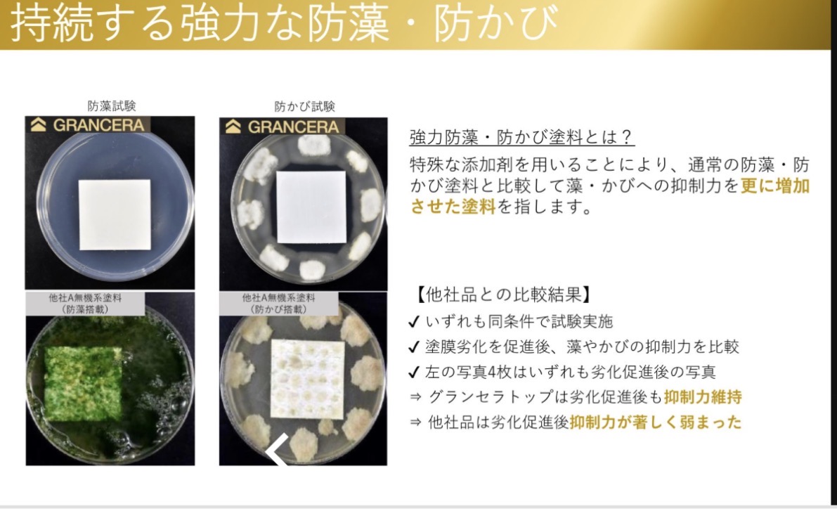日本ペイントと他社塗料のカビや藻の比較テスト